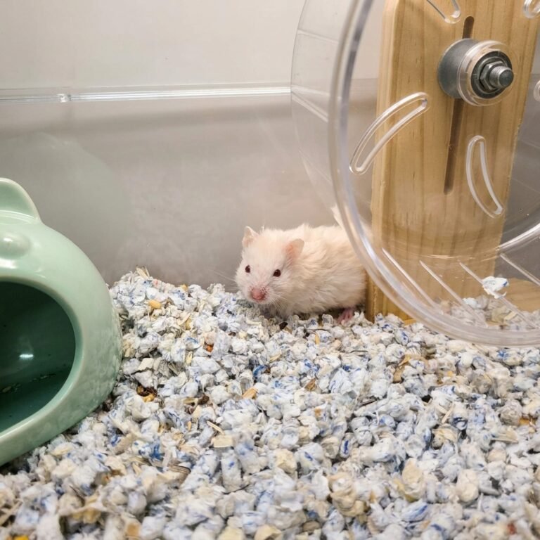 Enhance_picture_don't_202604101554