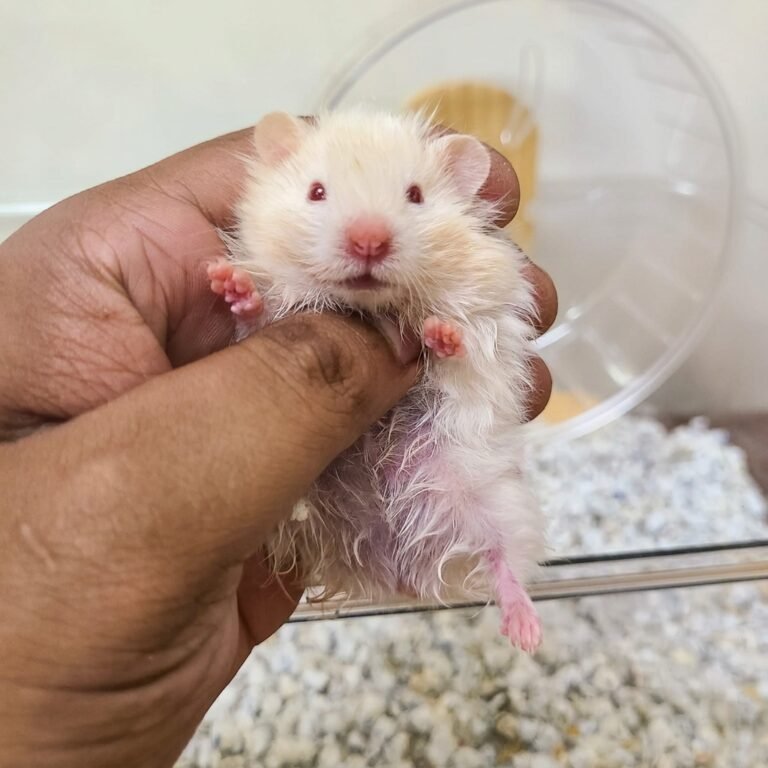 Enhance_picture_don't_202604101555 (1)