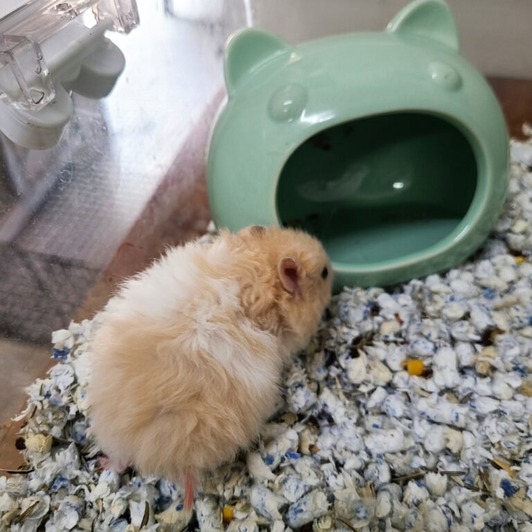 Enhance_picture_don't_202604101628