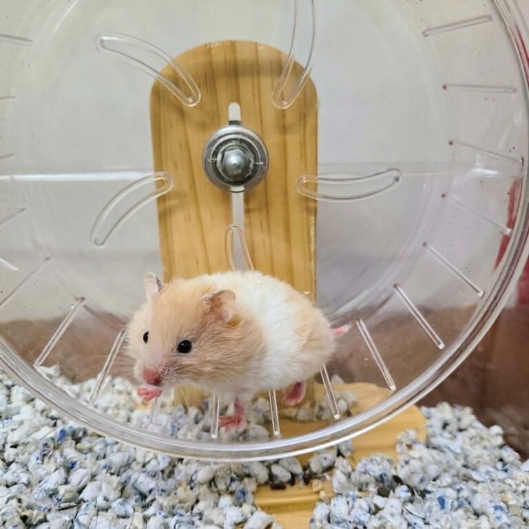 Enhance_picture_don't_202604101629