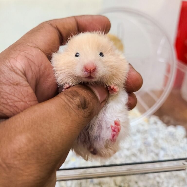 Enhance_picture_don't_202604101630