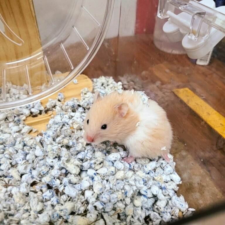 Enhance_picture_don't_202604101631