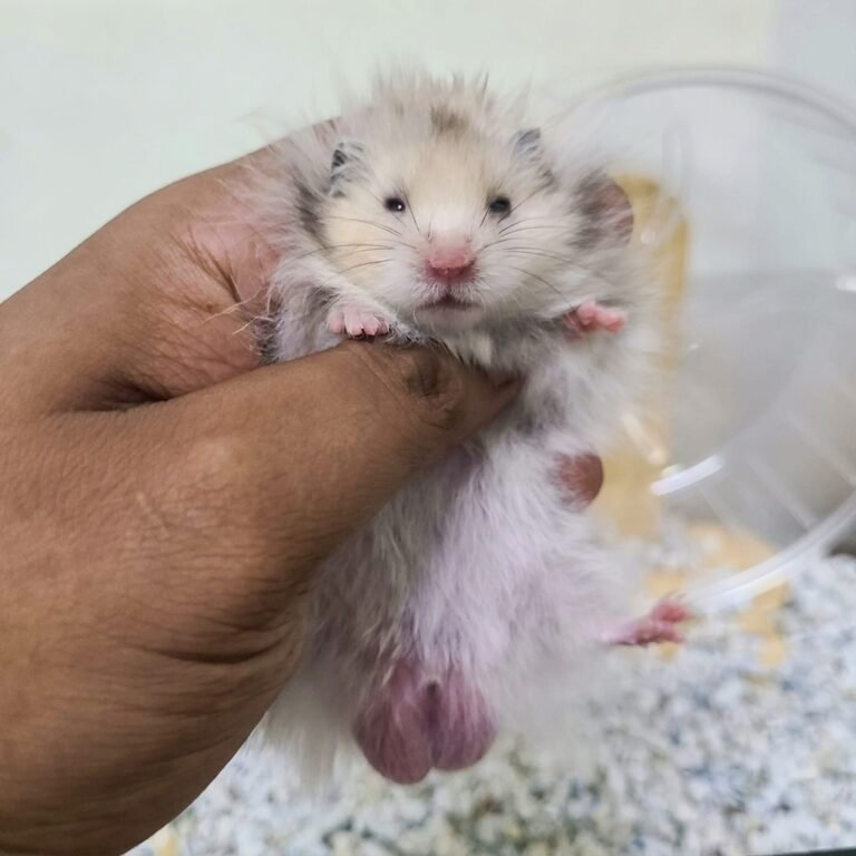 Enhance_picture_don't_202604101744