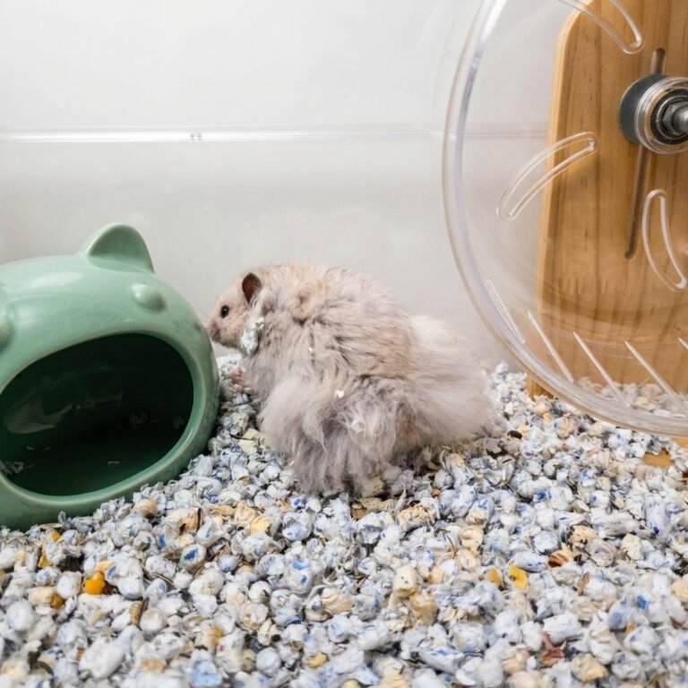 Enhance_picture_don't_202604101745