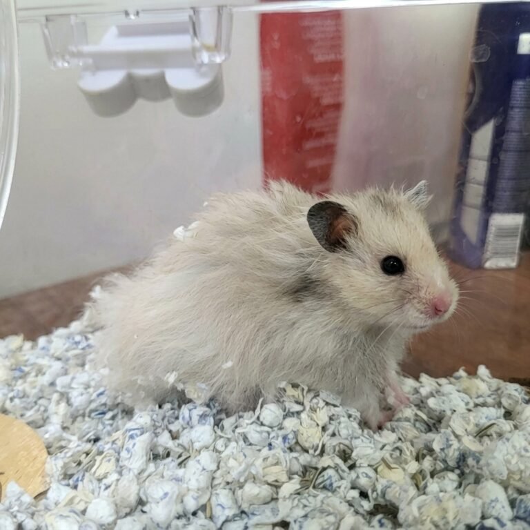 Enhance_picture_don't_202604101749