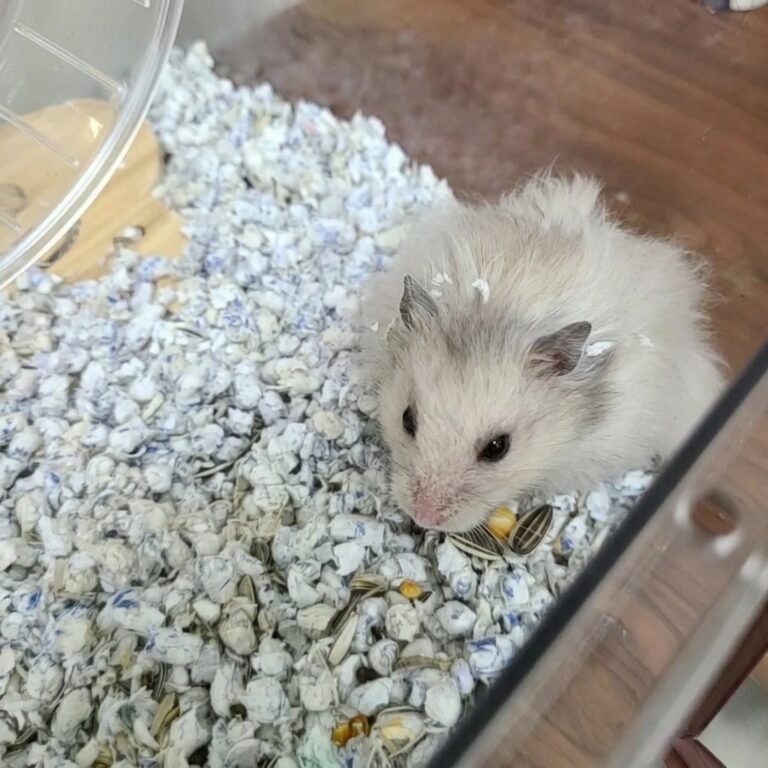 Enhance_picture_don't_202604101750