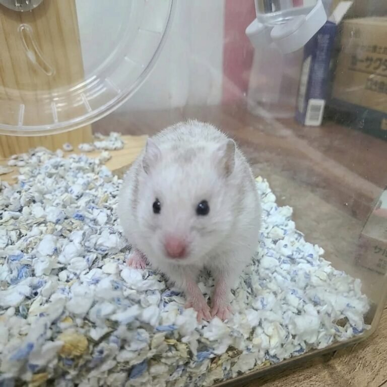 Enhance_picture_don't_202604101800