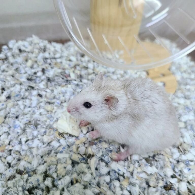 Enhance_picture_don't_202604101801