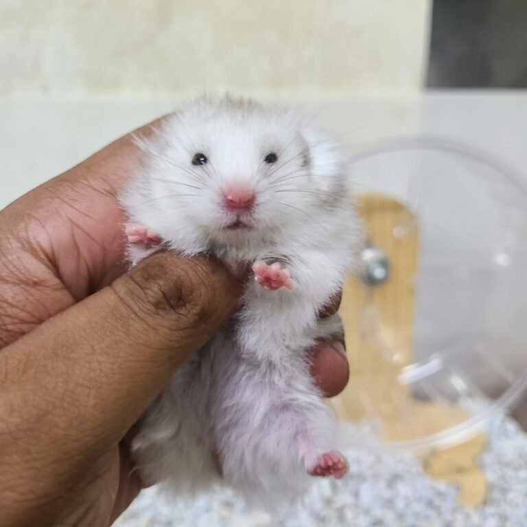 Enhance_picture_don't_202604101802