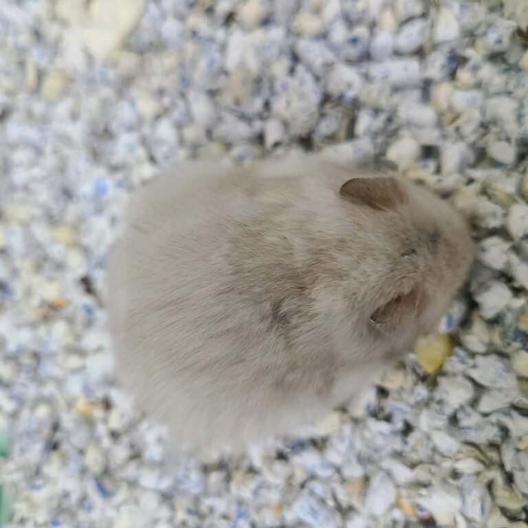 Enhance_picture_don't_202604101803