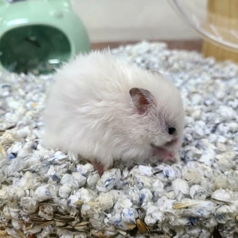 Enhance_picture_don't_202604101811 (1)