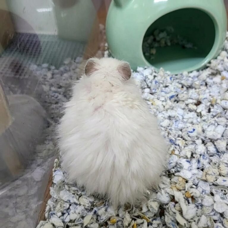 Enhance_picture_don't_202604101811