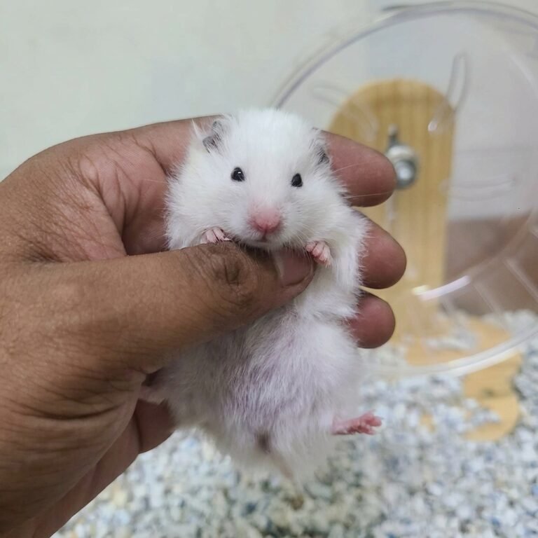 Enhance_picture_don't_202604101812