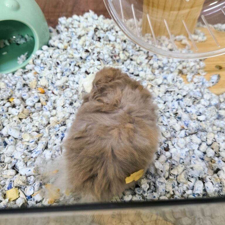 Enhance_picture_don't_202604101832 (1)