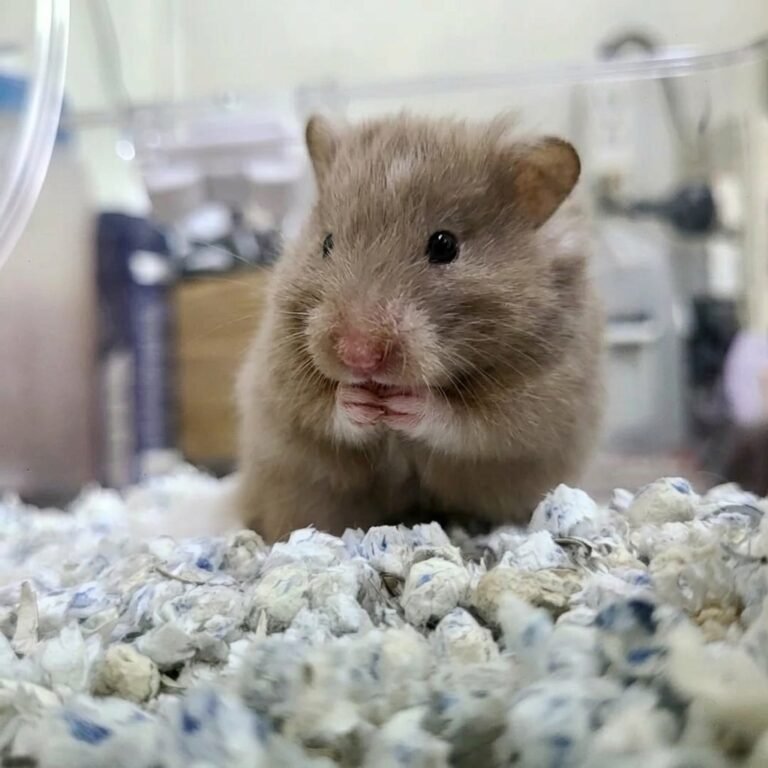 Enhance_picture_don't_202604101832 (2)