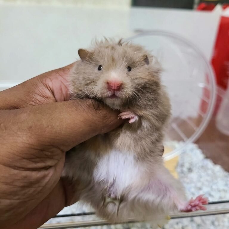 Enhance_picture_don't_202604101832