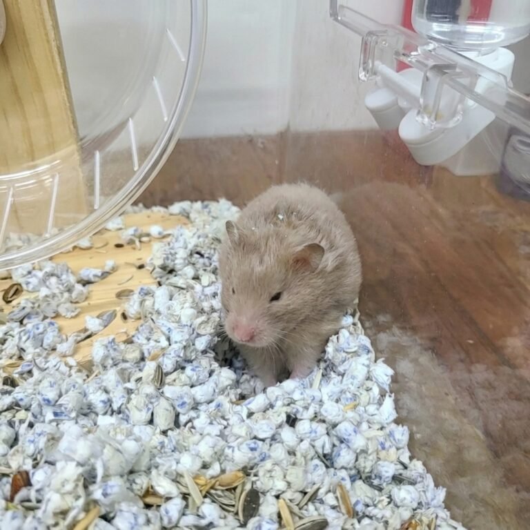 Enhance_picture_don't_202604101834