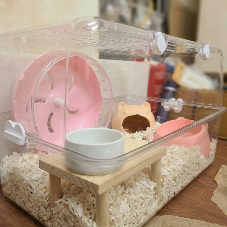 Makes_it_feel_202604090653